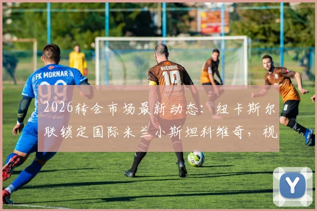 2026转会市场最新动态:纽卡斯尔联锁定国际米兰小斯坦科维奇,视其为托纳利长期替代者,转会可能性深度剖析
